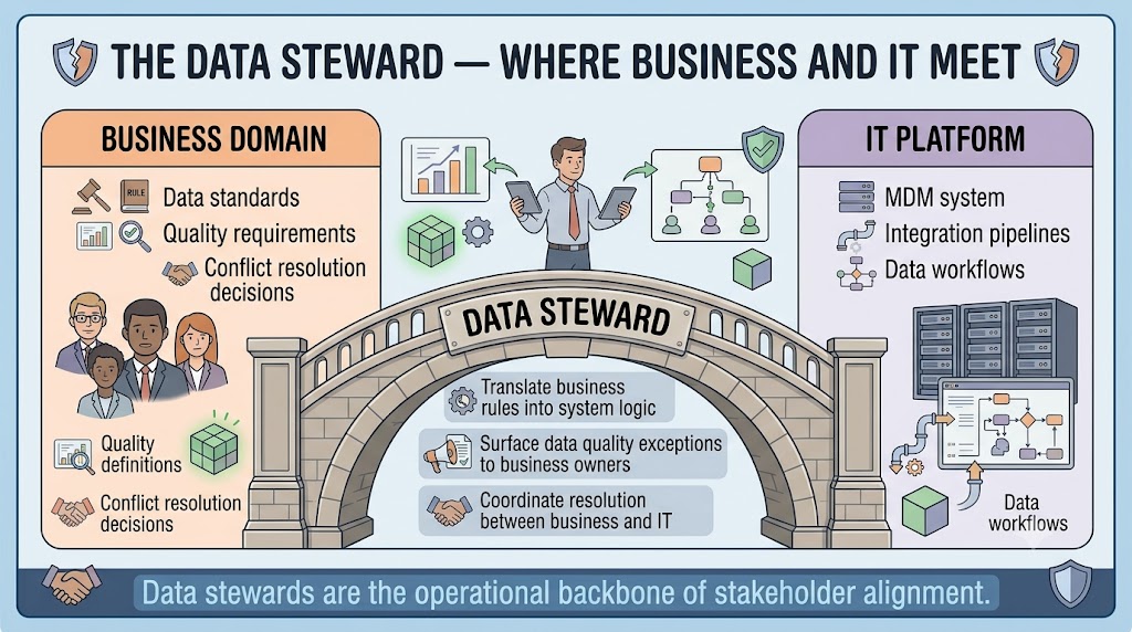 A bridge diagram with the Business Domain on the left bank and the IT Platform on the right bank. The bridge is labeled Data Steward, with responsibilities listed along it: translating business rules, surfacing quality exceptions, and coordinating resolution.